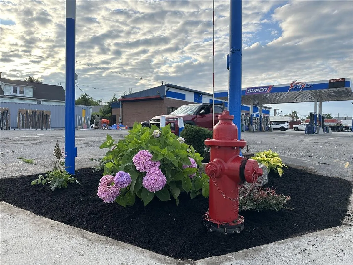 Completed commercial mulch and planting project